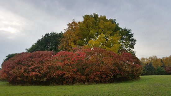 Arboretum Main-Taunus